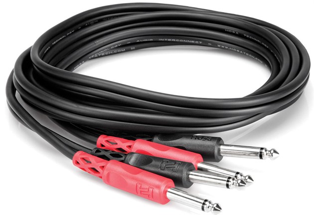 HOSA CPP-201 Dual TS - Dual TS 1m