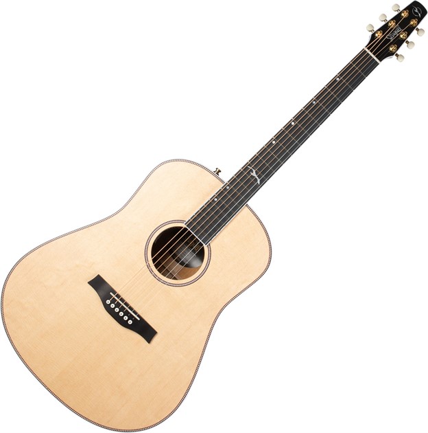 Seagull Artist Mosaic Anthem